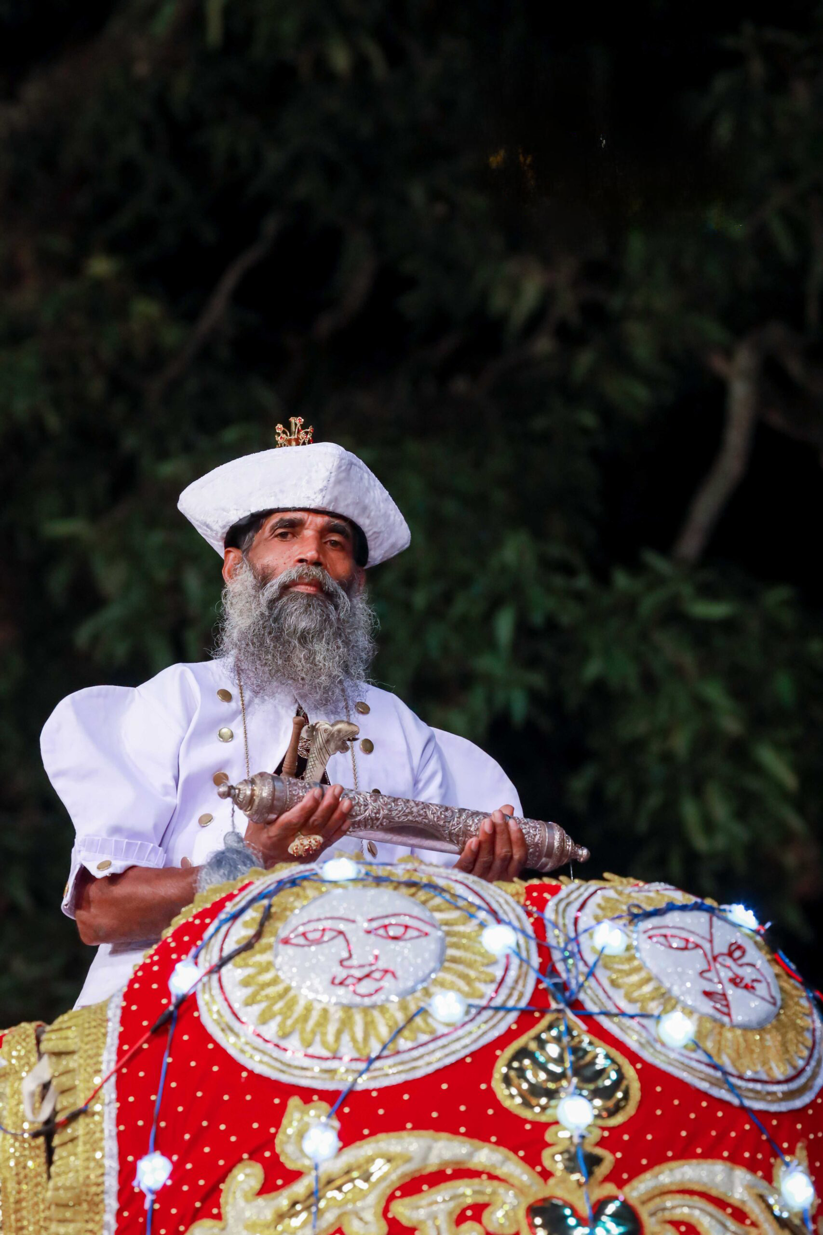 Sri Lanka’s Cultural Festivals and Performances: A Dance of Heritage and Devotion — Bild 3