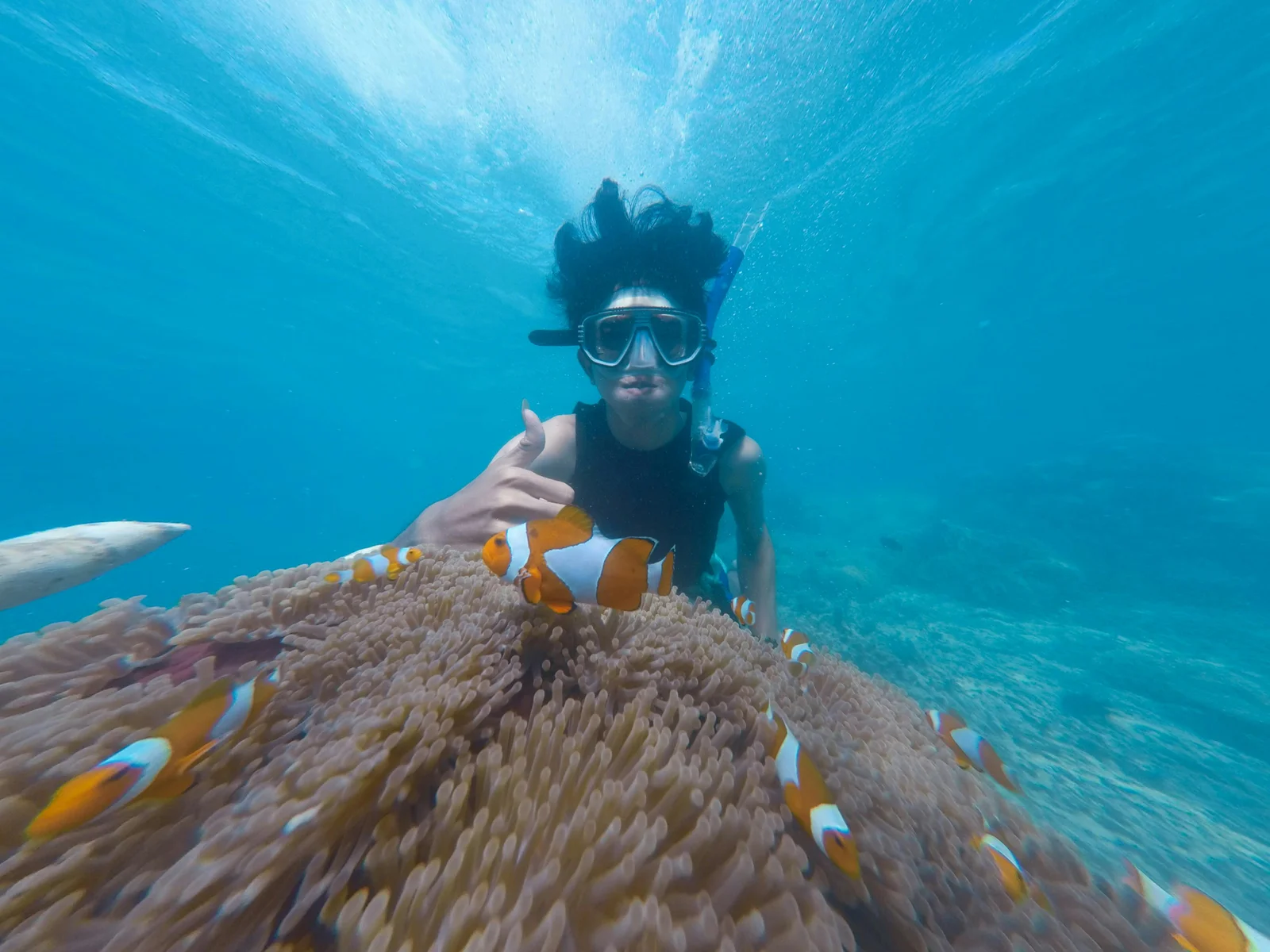 Snorkeling spots you shouldn't miss in Sri Lanka: Discover the island's underwater world