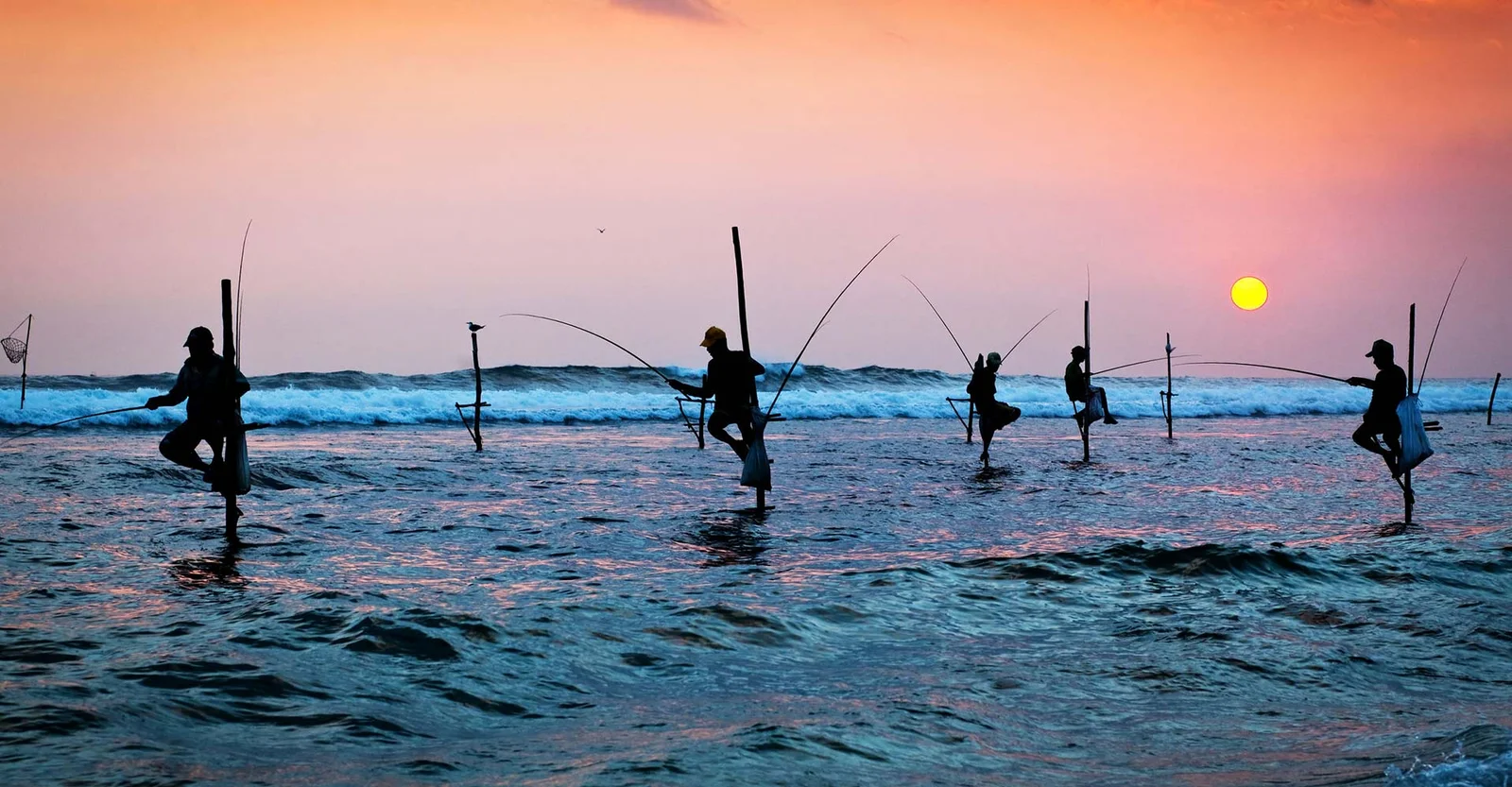 Fishing like a local: Coastal traditions in Sri Lanka A glimpse into life by the sea