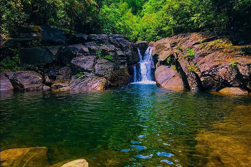 Polgampola Waterfall Day Tour from Bentota