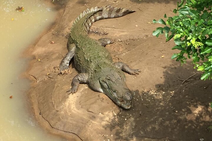 Udawalawe Safari Day Trip from Bentota